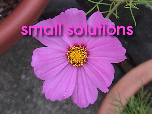 Flower Logo